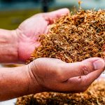 Loose Leaf Tobacco 150x150